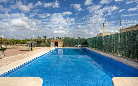 Vilă cu 5 dormitoare în Elche - BCH138207 - Imagini - 4