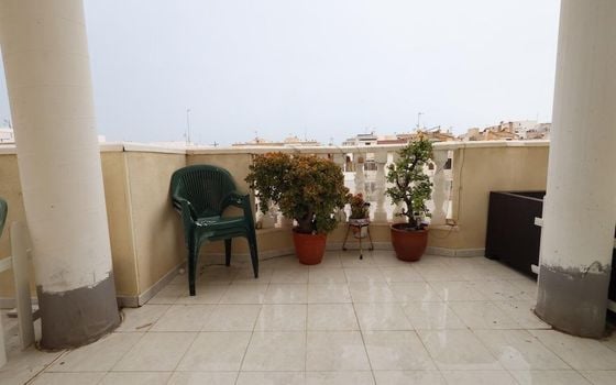 3 bedroom Penthouse in Torrevieja - CRR138244 - Photo - Small - 15