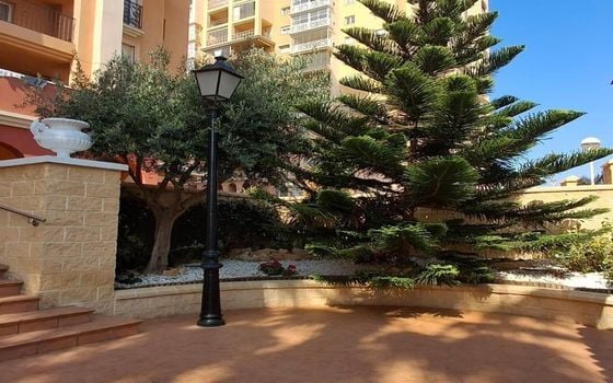 3 bedroom Apartment in Torrevieja - SV138309 - Photo - Small - 24
