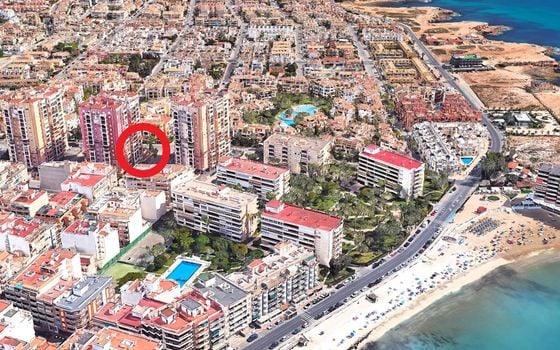 3 bedroom Apartment in Torrevieja - SV138309 - Photo - Small - 30
