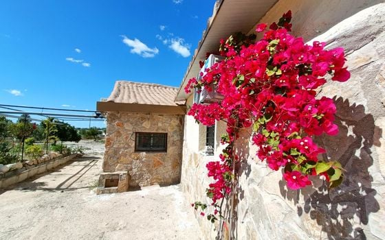3 bedroom Villa in Abanilla - CNM138410 - Photo - Small - 22