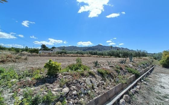 3 bedroom Villa in Abanilla - CNM138410 - Photo - Small - 28