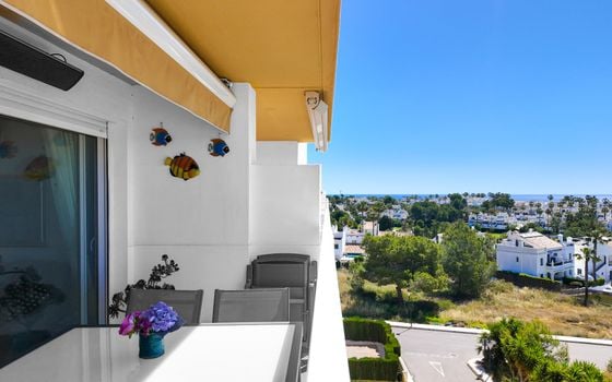 2 bedroom Penthouse in Villamartin - RPE138558 - Photo - Small - 25