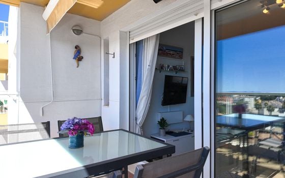 2 bedroom Penthouse in Villamartin - RPE138558 - Photo - Small - 23