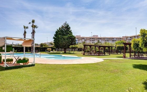 2 bedroom Penthouse in Torrevieja - SV138611 - Photo - Small - 24