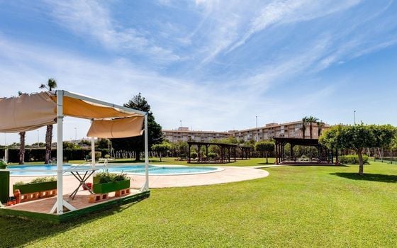 2 bedroom Penthouse in Torrevieja - SV138611 - Photo - Small - 25