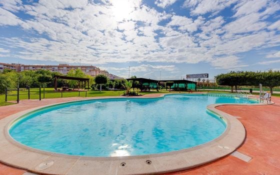 2 bedroom Penthouse in Torrevieja - SV138611 - Photo - Small - 28