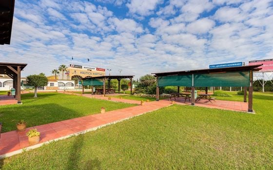 2 bedroom Penthouse in Torrevieja - SV138611 - Photo - Small - 29