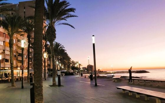 3 bedroom Apartment in Torrevieja - SV138612 - Photo - Small - 39