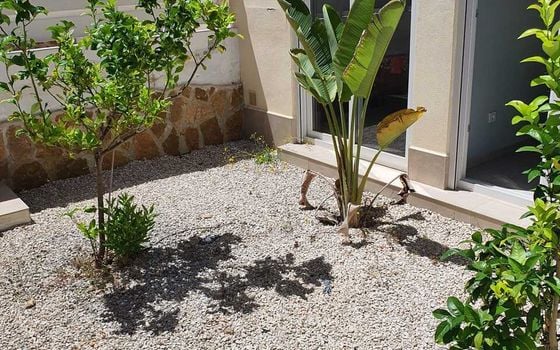 3 bedroom Townhouse in Rojales - VQ138613 - Photo - 2