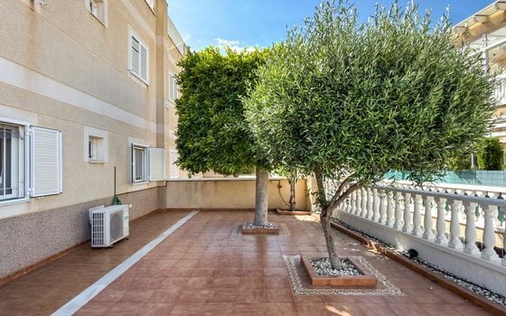 3 bedroom Apartment in Playa Flamenca - MVR138688 - Photo - Small - 23