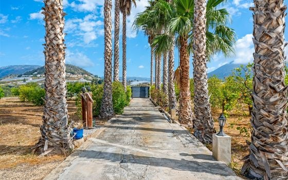 4 bedroom Villa in La Nucia - CBB138732 - Photo - Small - 42