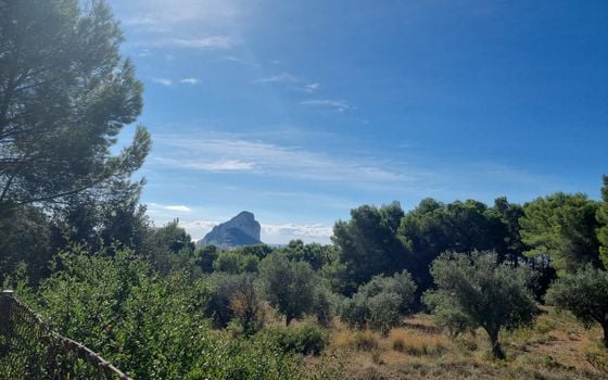 Terrain de  à Calp- VMD138857 - Photo - 1