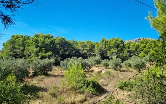 Terrain de  à Calp- VMD138857 - Photo - 2
