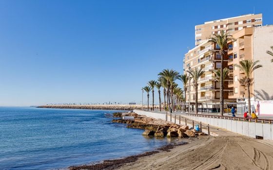 Appartement de 2 chambres à Torrevieja - MS139162 - Photo - Small - 26