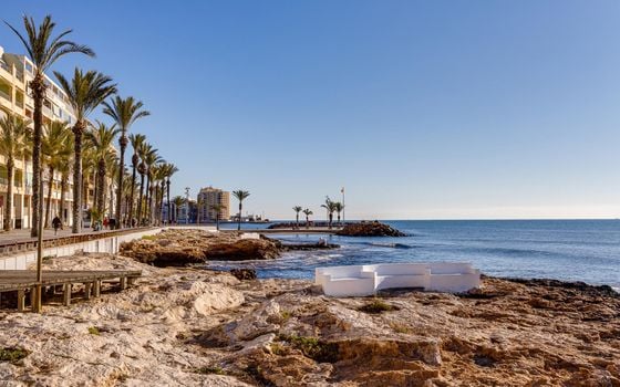 Appartement de 2 chambres à Torrevieja - MS139162 - Photo - Small - 27