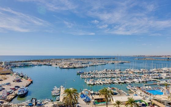 Appartement de 2 chambres à Torrevieja - MS139162 - Photo - Small - 30