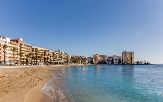 Appartement de 2 chambres à Torrevieja - MS139162 - Photo - Small - 28