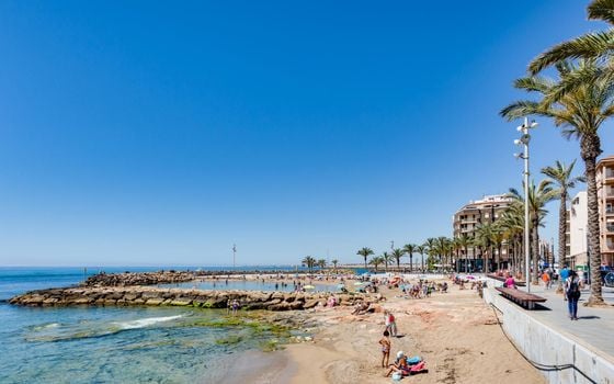 Appartement de 2 chambres à Torrevieja - MS139162 - Photo - Small - 29