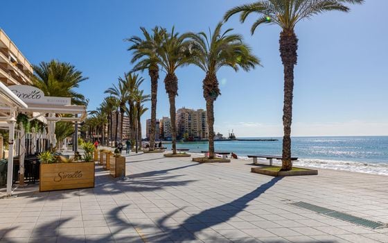 Appartement de 2 chambres à Torrevieja - MS139162 - Photo - Small - 21