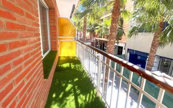 Appartement de 4 chambres à Torrevieja - SV139194 - Photo - Small - 25
