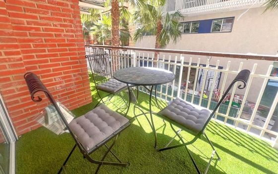 Appartement de 4 chambres à Torrevieja - SV139194 - Photo - Small - 24