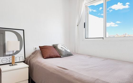 2 bedroom Penthouse in Torrevieja - RPE139407 - Photo - Small - 11