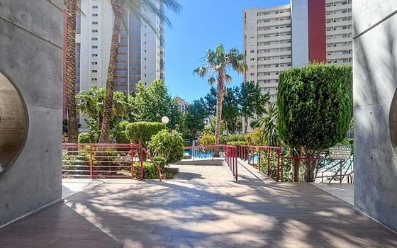 2 bedroom Apartment in Benidorm - ABC139525 - Photo - Small - 16