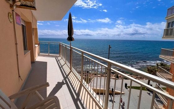Appartement de 4 chambres à Torrevieja - SV139560 - Photo - Small - 20