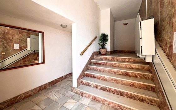 Appartement de 4 chambres à Torrevieja - SV139560 - Photo - Small - 21