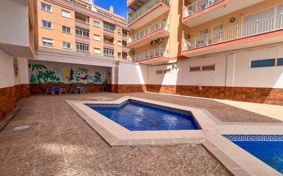 Appartement de 4 chambres à Torrevieja - SV139560 - Photo - Small - 22