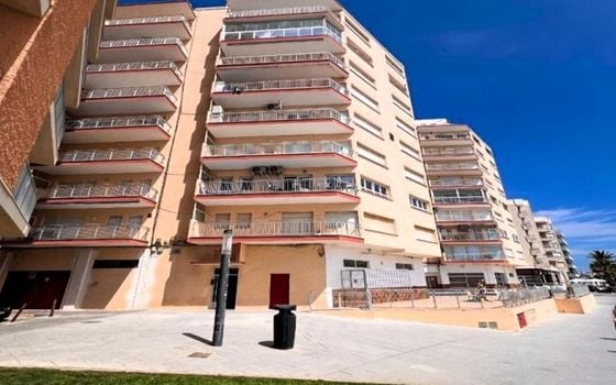Appartement de 4 chambres à Torrevieja - SV139560 - Photo - Small - 24