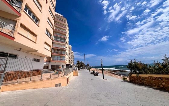 Appartement de 4 chambres à Torrevieja - SV139560 - Photo - Small - 25