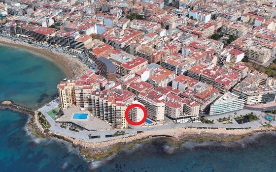 Appartement de 4 chambres à Torrevieja - SV139560 - Photo - Small - 26