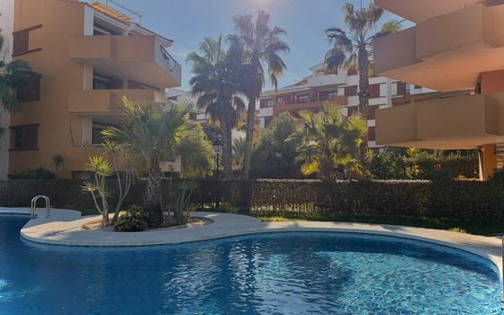 2 bedroom Apartment in Punta Prima - LR139588 - Photo - Small - 9