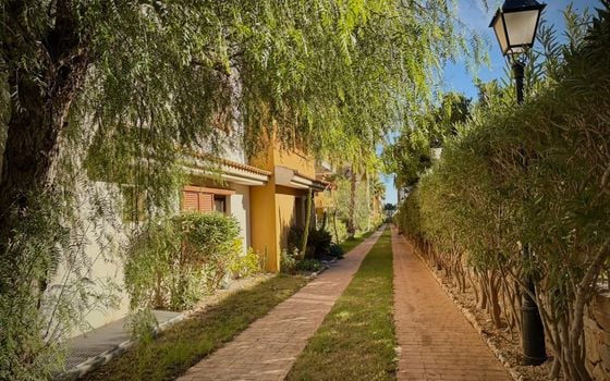 2 bedroom Apartment in Punta Prima - LR139588 - Photo - Small - 10