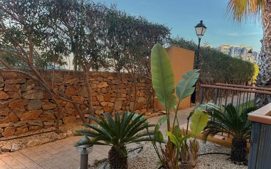 2 bedroom Apartment in Punta Prima - LR139588 - Photo - Small - 11
