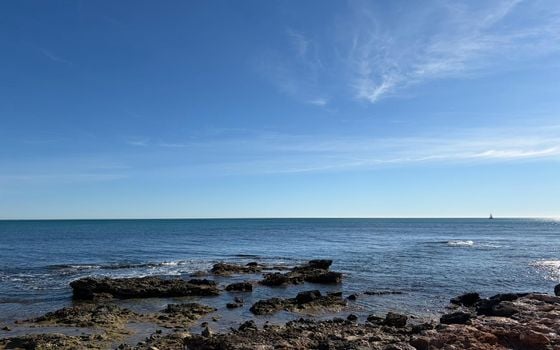 2 bedroom Apartment in Punta Prima - LR139588 - Photo - Small - 13