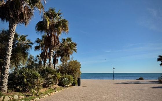 2 bedroom Apartment in Punta Prima - LR139588 - Photo - Small - 12