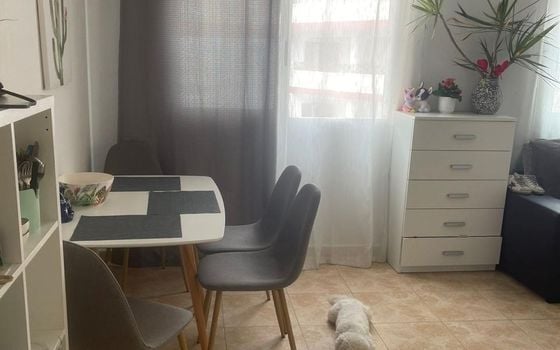 Appartement de 1 chambre à Torrevieja - CT139832 - Photo - 3