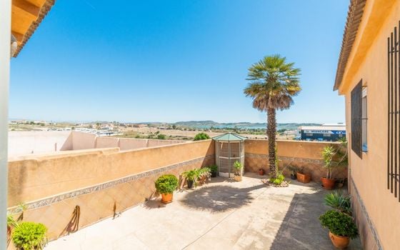 Villa de 3 chambres à San Miguel de Salinas - RPF140689 - Photo - Small - 21