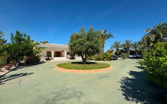 Vilă cu 4 dormitoare în Elche - NSP140818 - Imagini - Small - 26