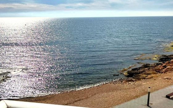 3 bedroom Apartment in Torrevieja - SV140831 - Photo - Small - 26