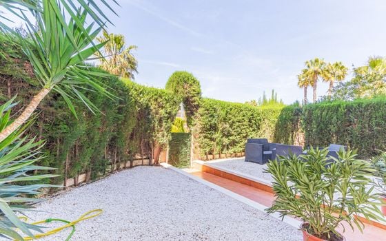 2 bedroom Apartment in Playa Flamenca - HRE140892 - Photo - 5