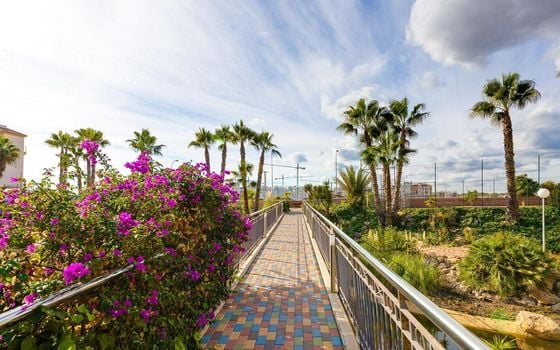 Appartement de 2 chambres à Playa Flamenca - HRE140892 - Photo - Small - 29