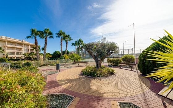 Appartement de 2 chambres à Playa Flamenca - HRE140892 - Photo - Small - 31