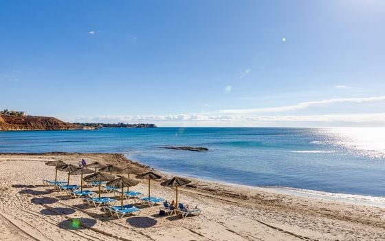 Appartement de 2 chambres à Playa Flamenca - HRE140892 - Photo - Small - 42