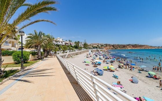 Appartement de 2 chambres à Playa Flamenca - HRE140892 - Photo - Small - 39