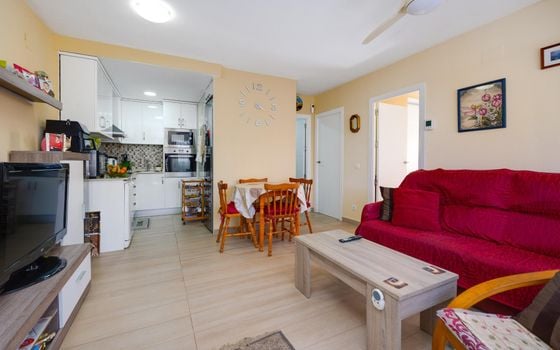 2 bedroom Townhouse in Torrevieja - CYM146980 - Photo - Small - 7