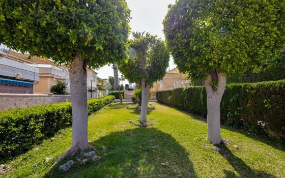 2 bedroom Townhouse in Torrevieja - CYM146980 - Photo - Small - 32